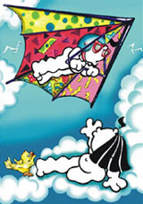 capas